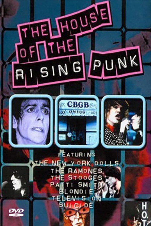 The House of the Rising Punk电影海报