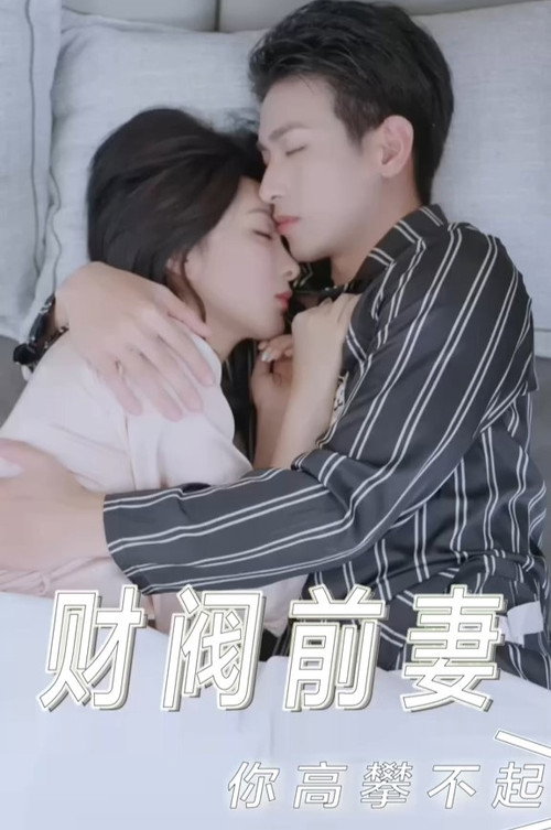 财阀前妻你高攀不起电影海报