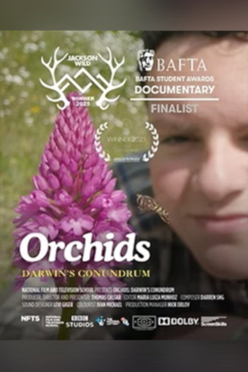 Orchids: Darwin's Conundrum