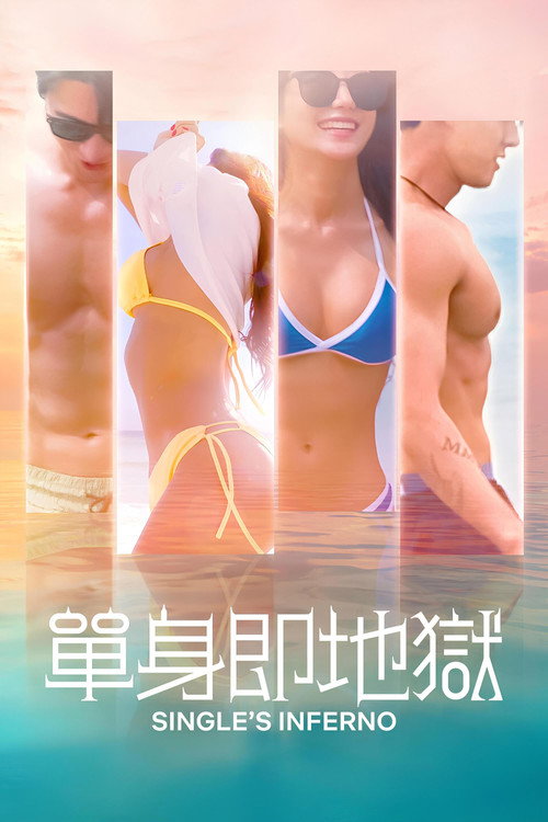 单身即地狱电影海报
