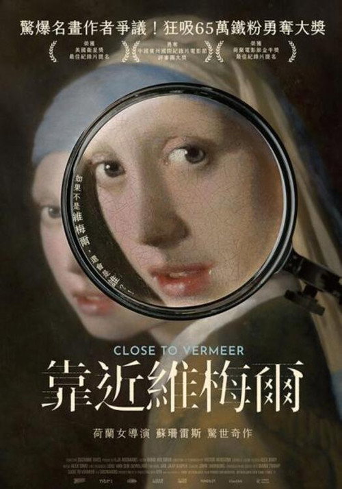 走近维米尔电影海报