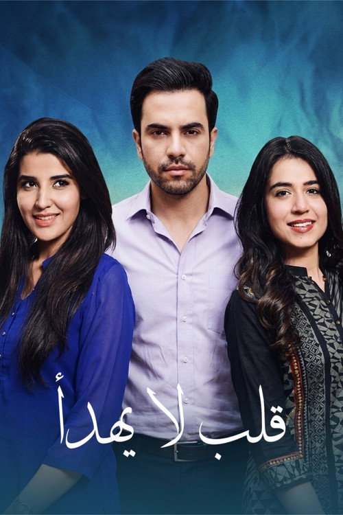Dil-e-Beqarar poster 2