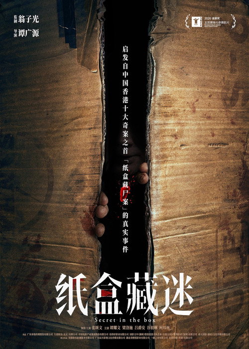 纸盒藏迷电影海报