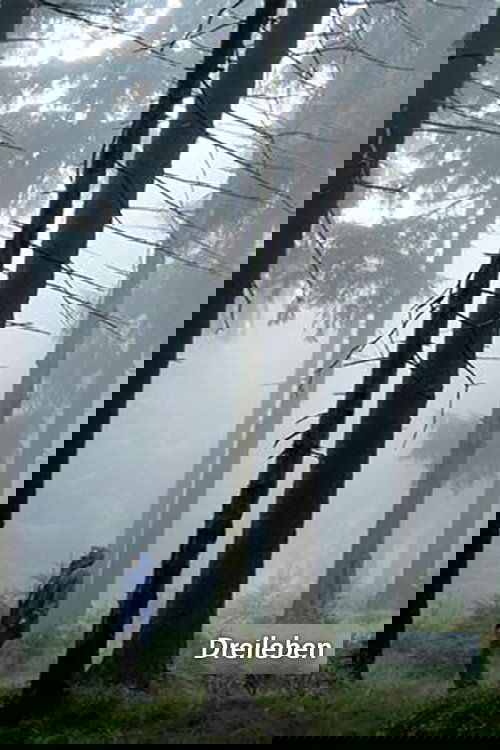 Dreileben