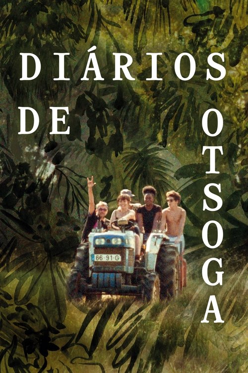 Poster of Diarios de Otsoga
