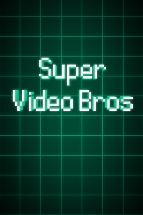 Super Video Bros Poster
