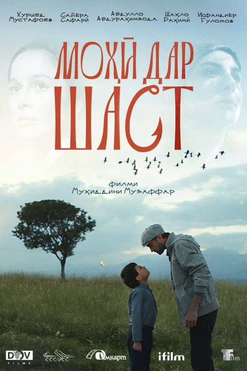 Моҳӣ дар шаст电影海报