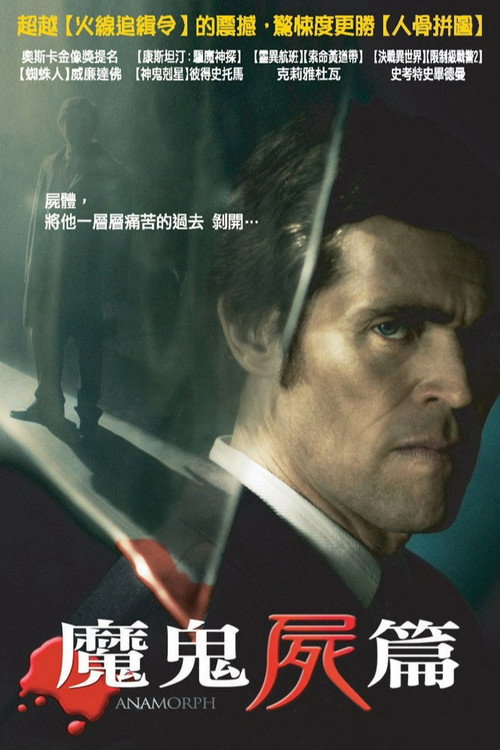 失真的画电影海报