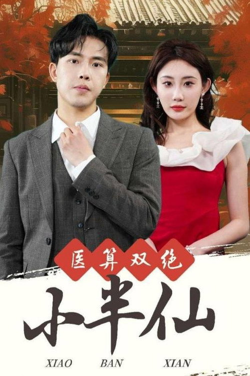 医算双绝小半仙海报