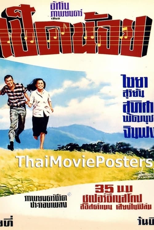 เป็ดน้อย Poster