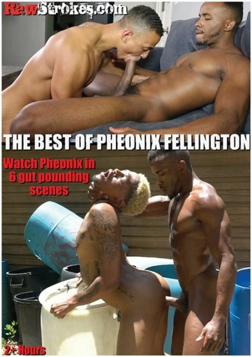 The Best of Pheonix Fellington Poster