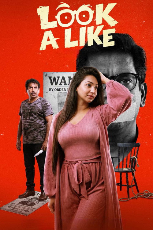 Look a Like's poster