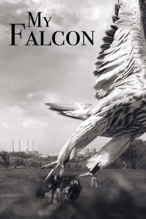 Mein Falke poster
