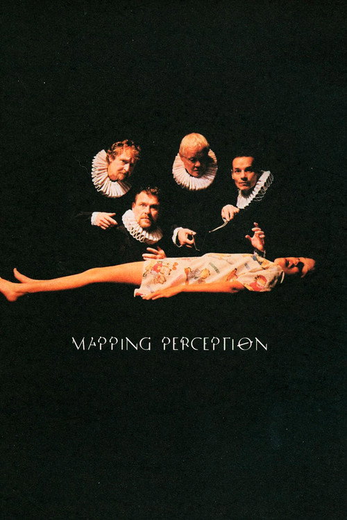 Mapping Perception poster 2