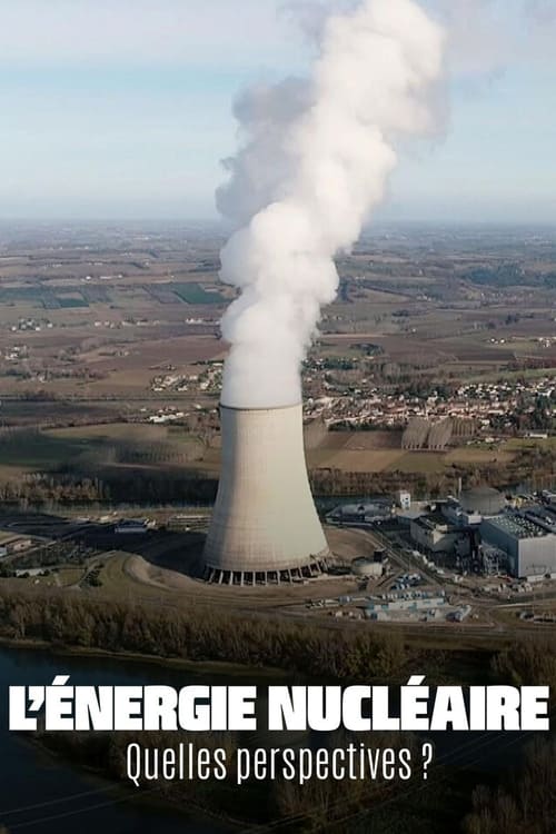 The+Future+of+Nuclear+Energy