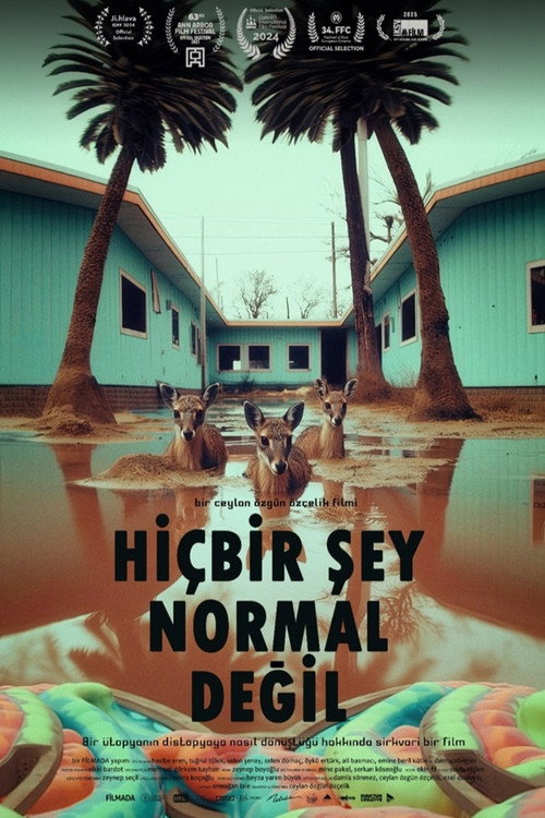 Hi&ccedil;bir Şey Normal Değil电影海报