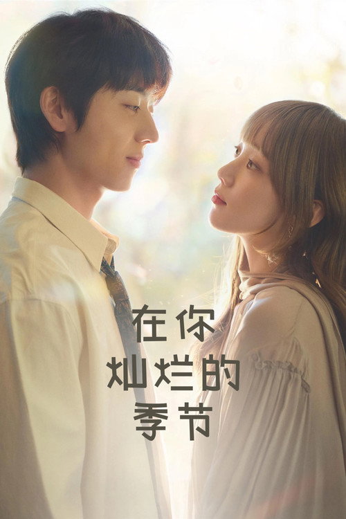 在你灿烂的季节电影海报