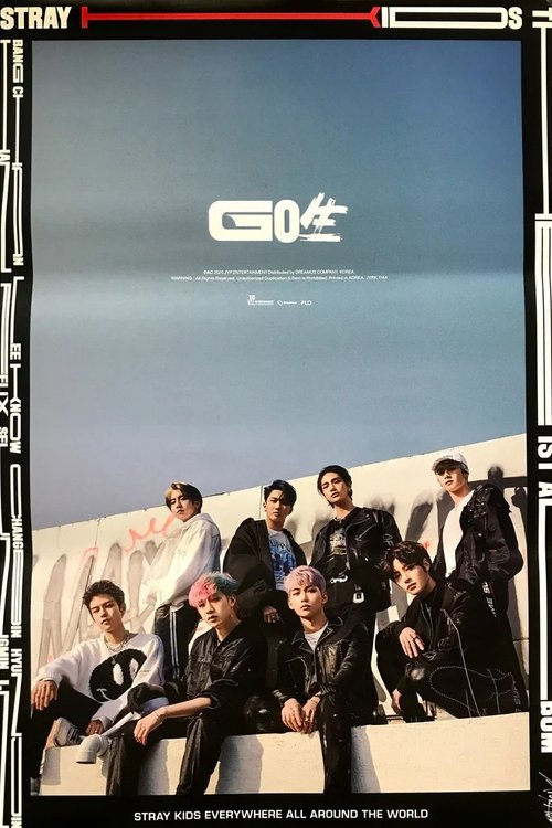 Stray Kids <ONLINE UNVEIL GO生> Poster