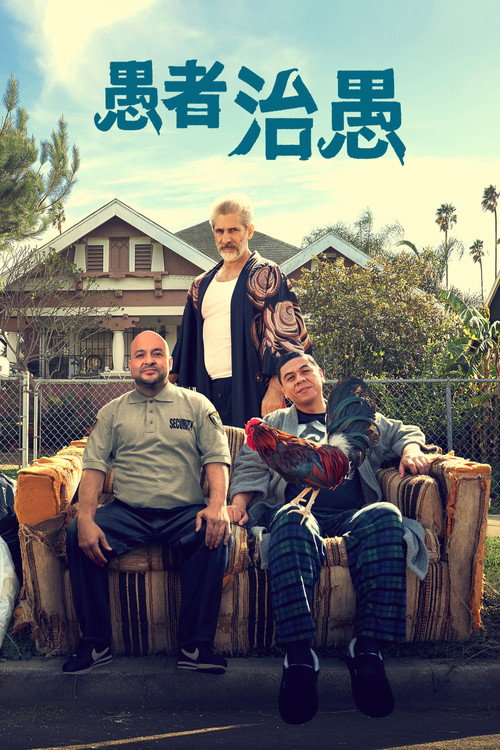 这个傻瓜电影海报