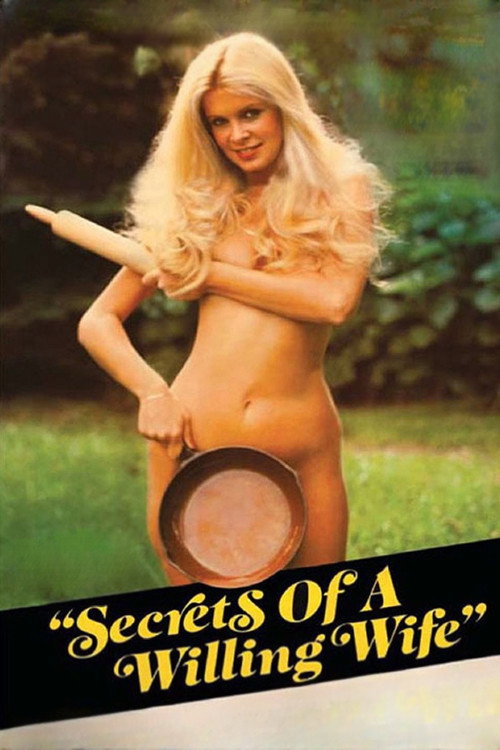 Secrets of a Willing Wife poster 2
