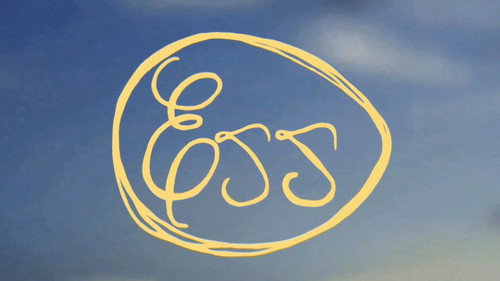 Egg (E22)