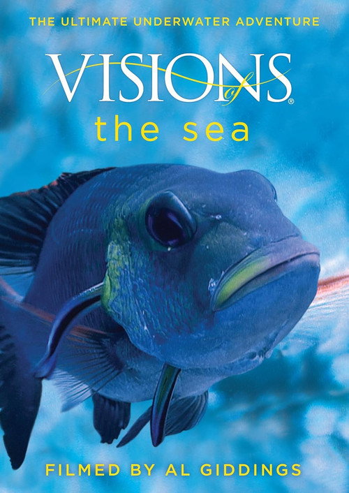 Visions of the Sea电影海报