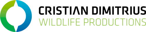 Production Company Logo