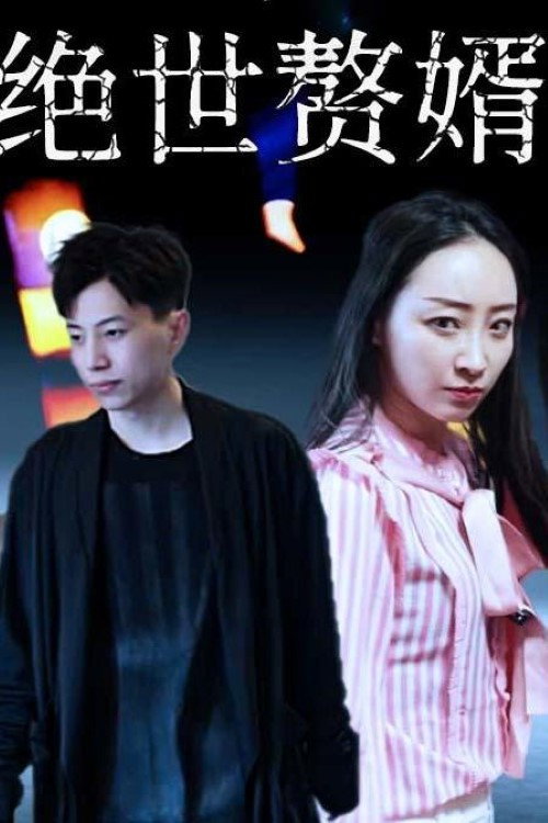 绝世赘婿电影海报