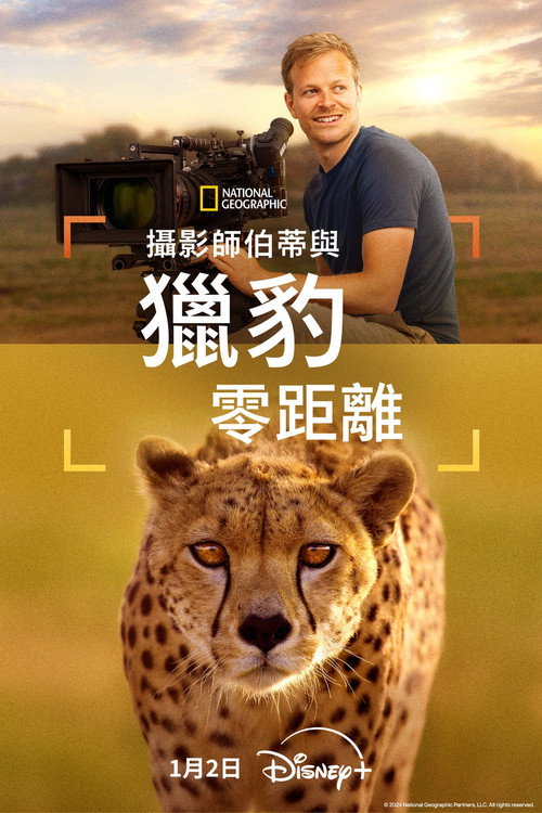 摄影师伯蒂与猎豹零距离电影海报
