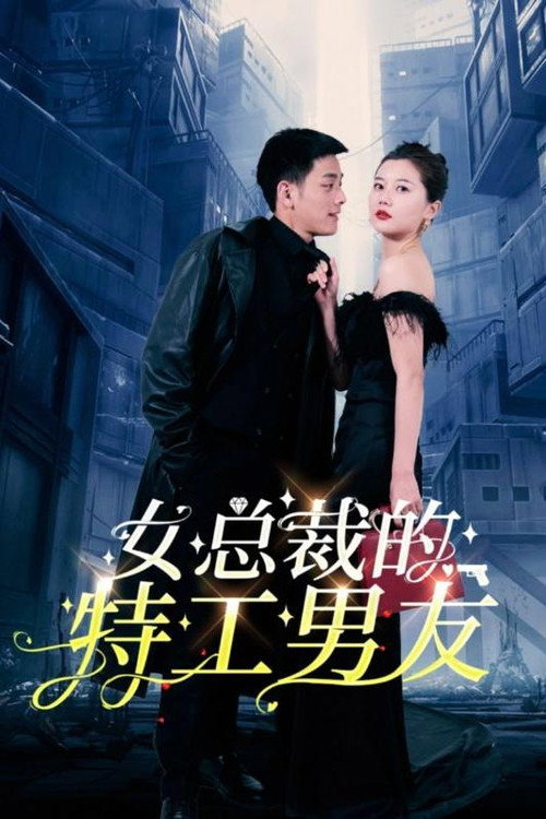 女总裁的特工男友海报