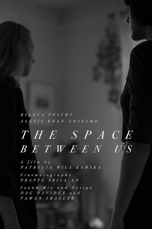 The Space Between Us Poster