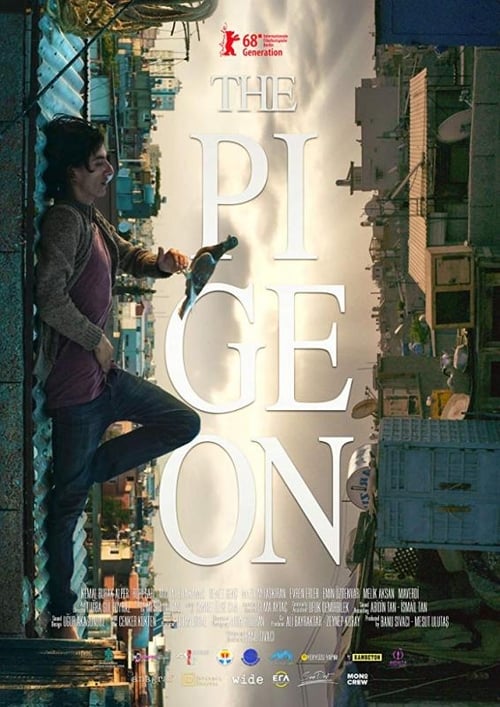 The+Pigeon