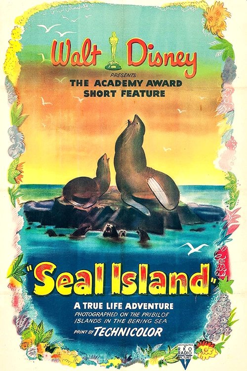 Seal Island Poster