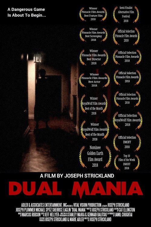 Dual Mania poster 3