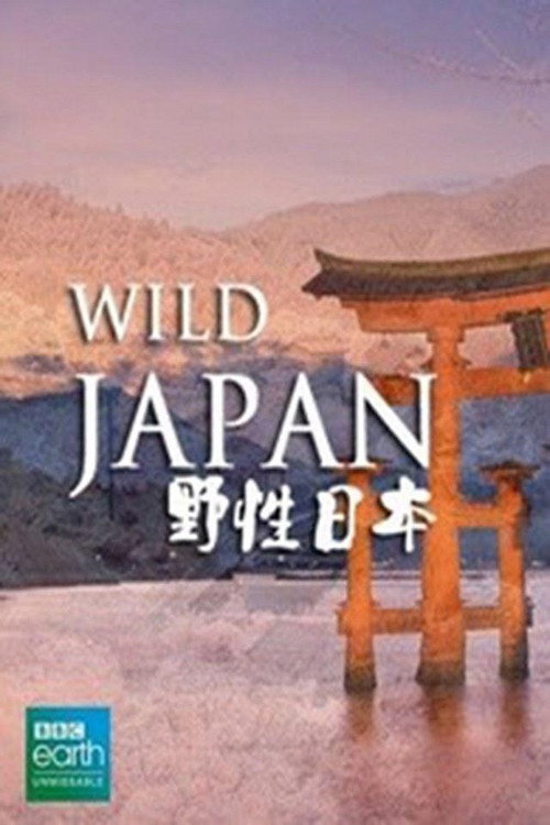 狂野日本电影海报