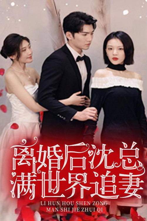 离婚后，沈总满世界追妻电影海报