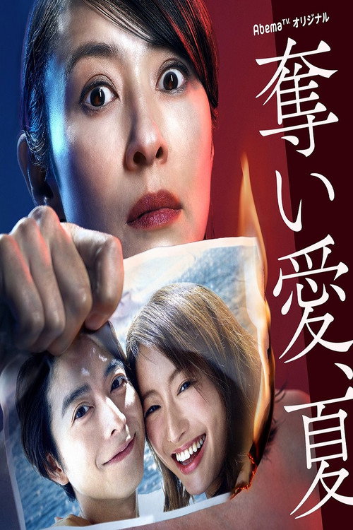 夺爱之夏电影海报