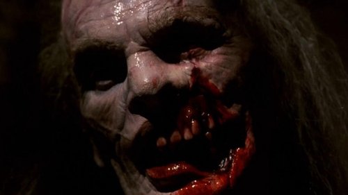 Un castillo alucinante (1995)