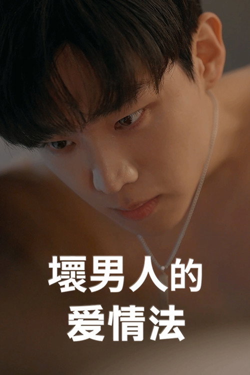 坏男人的爱情法电影海报