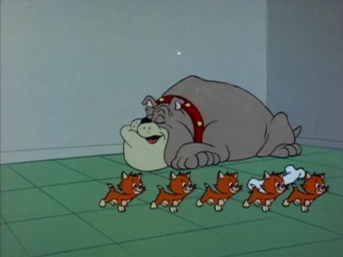 The Kitten Sitters
