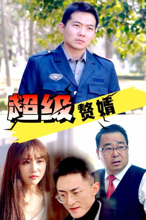 超级赘婿电影海报