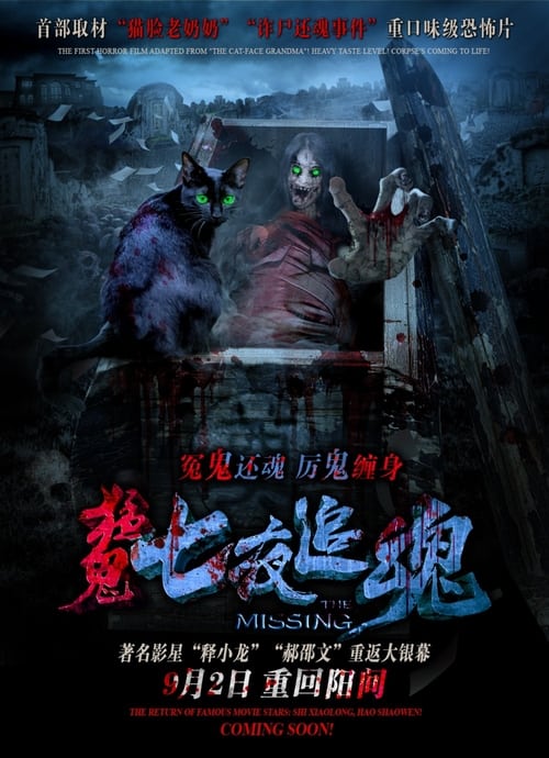 The Missing Poster
