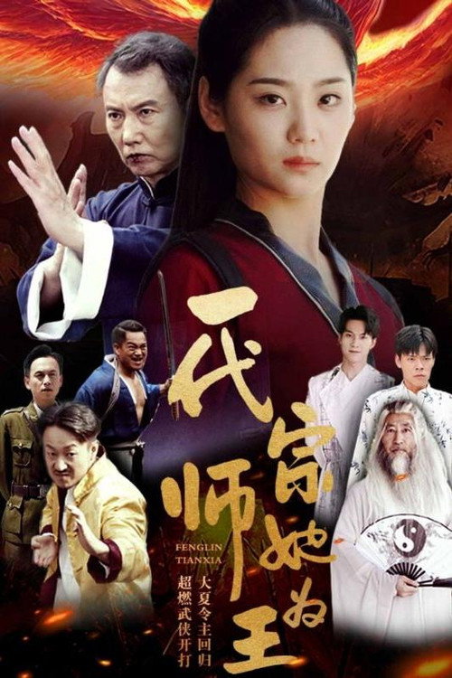 一代宗师她为王电影海报