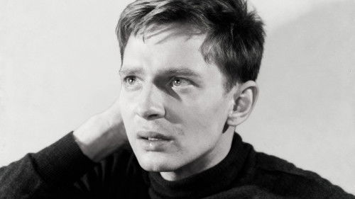 A Gift for a Warrior