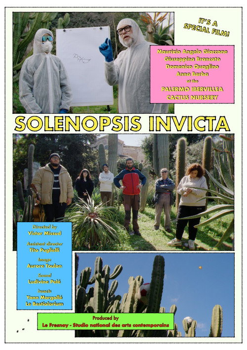 Solenopsis invicta