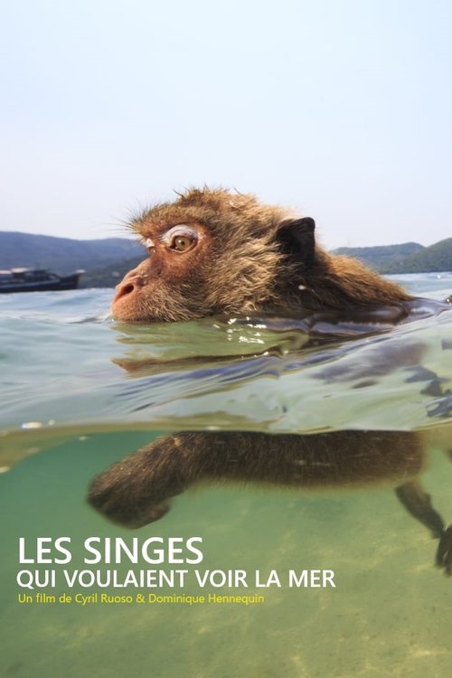 Los macacos de Tailandia