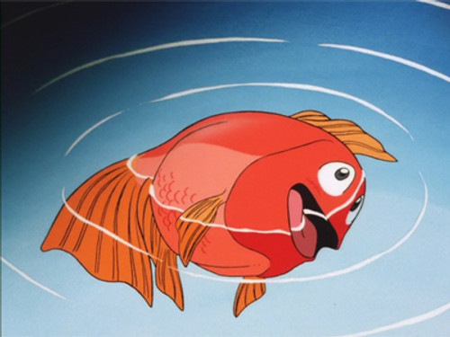 I Was a Cat, I Was a Fish