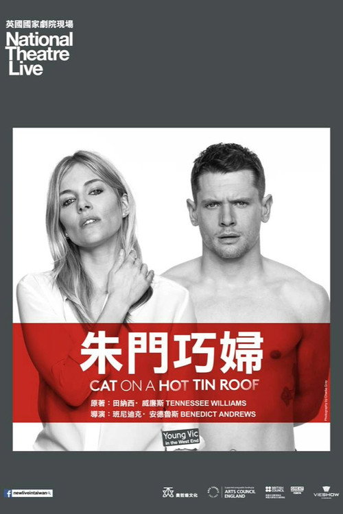 热铁皮屋顶上的猫电影海报