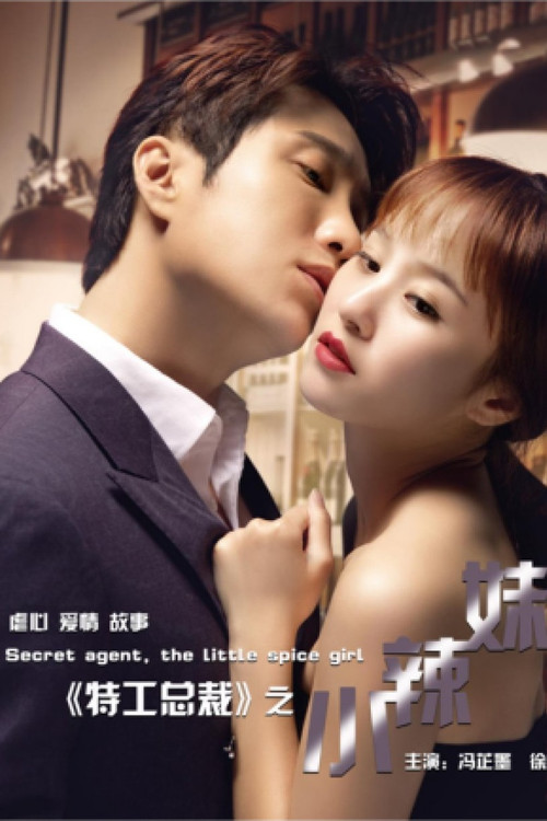 特工总裁小辣妹 Poster