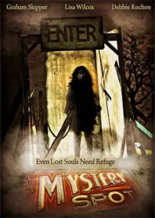 Mystery Spot poster 4